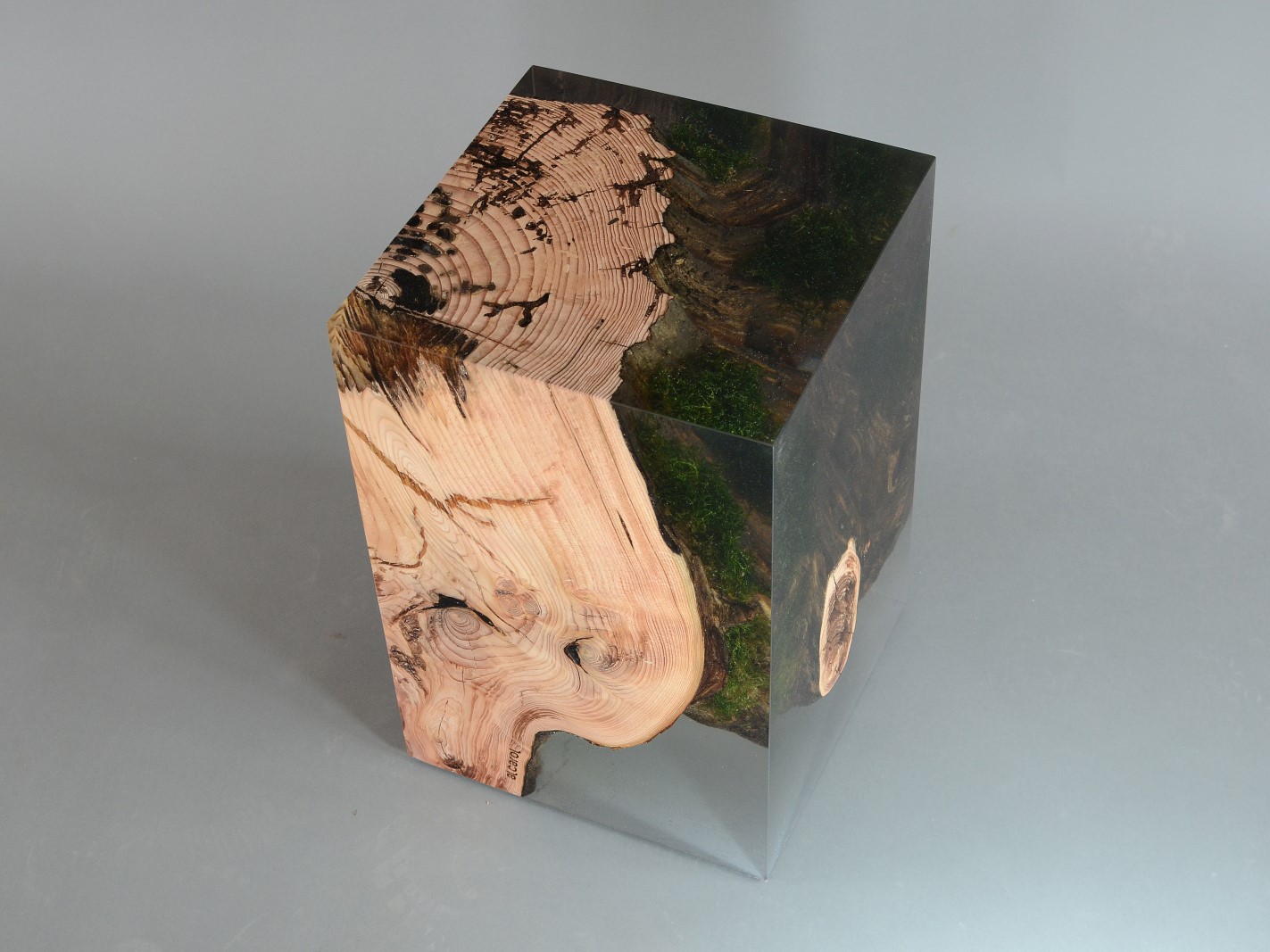 alcarolSTUMP STOOL _ LARCH吧椅