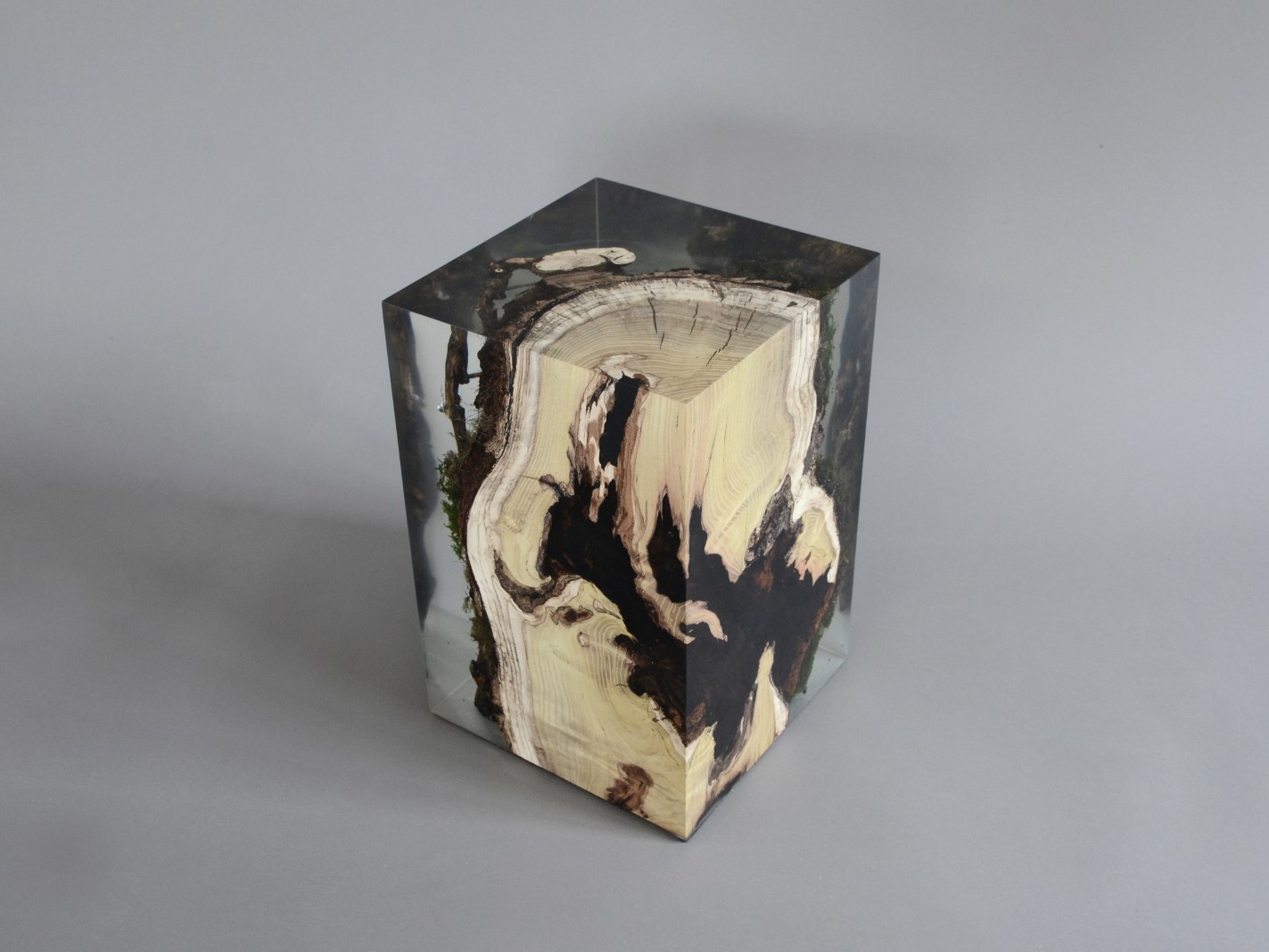 alcarolSTUMP STOOL _ MULBERRY吧椅